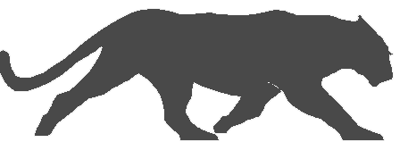 Gray Panther Logo